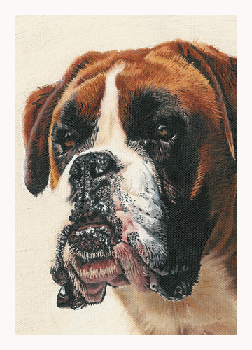 Andrew Howard Art - Boxer dog oil painting