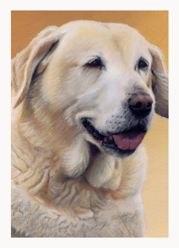 Andrew Howard Art - Golden Labrador oil painting